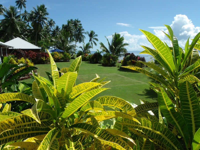 aroha-gardens-taveuni-large