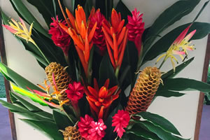 Flowers from the Aroha Taveuni garden