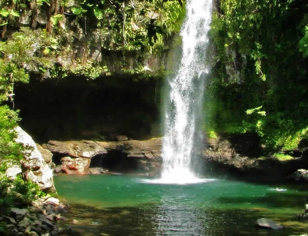 taveuni waterfall