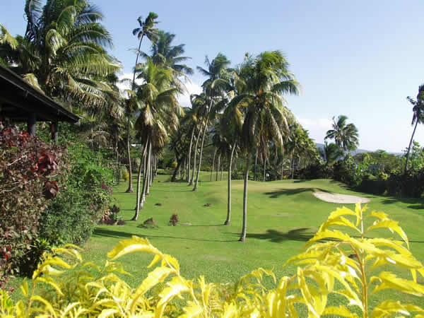 Taveuni golf club